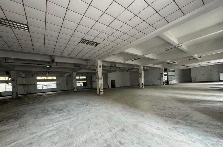 独门独院厂房出租3000至6000平原房东直租9元一平