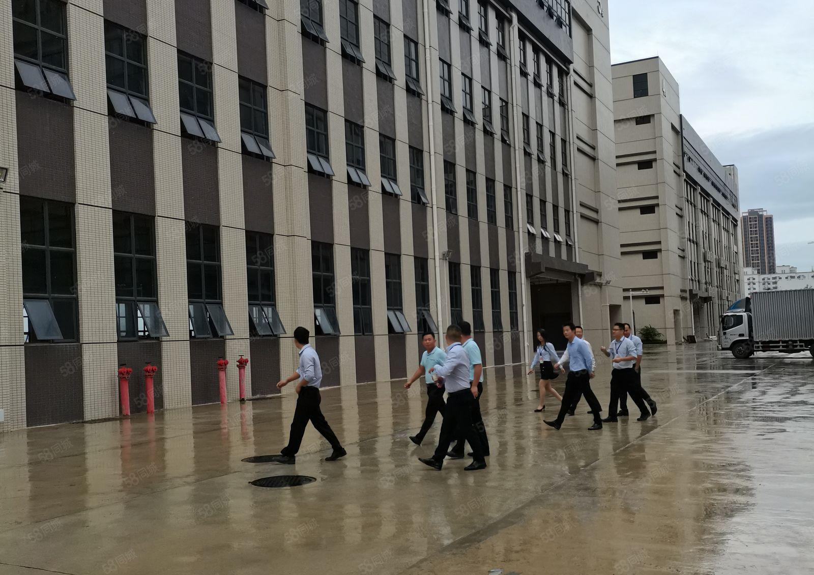 惠州仲恺高新区原房东全新厂房30000平米厂房出租可分租急租