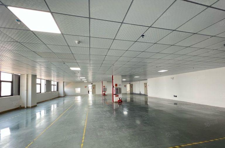 仲恺工业园新空现成装修带地坪漆办公室水电齐全厂房仓库低价出租