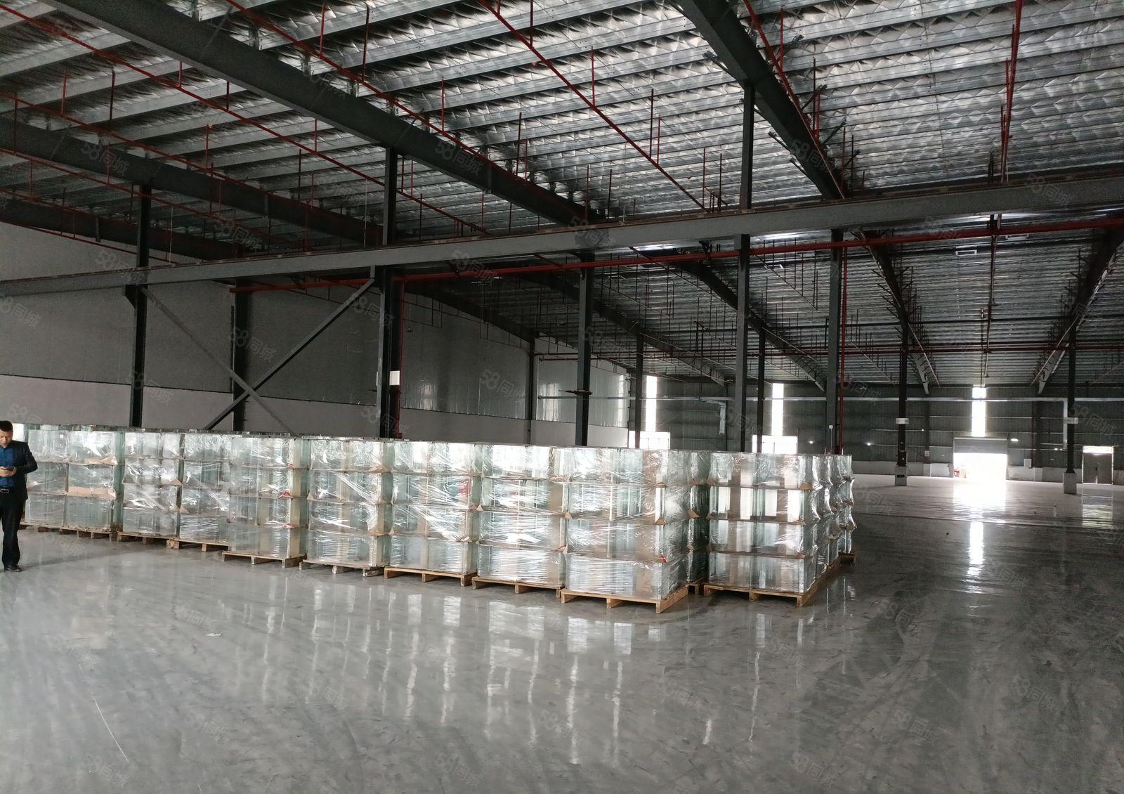 潼湖高速出口独栋钢构厂房出租 3500平米 带装修