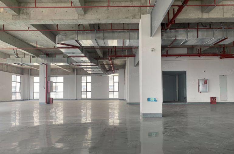 惠州陈江全新标准楼上厂房800平 彩光好 阳台超大