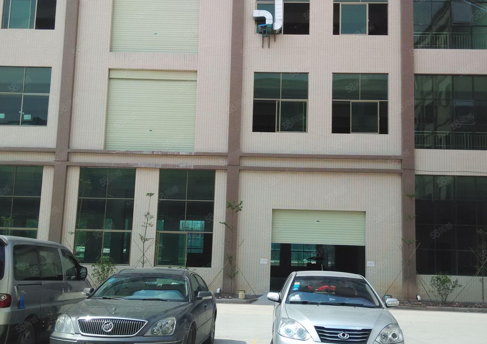 陈江大欣工业区标准厂房一楼2000平方 出租