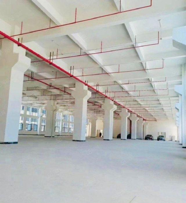 6元全新厂房出租，大小可分，原房东无公摊，不限行业