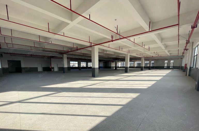 惠环特价12元急租2000平带装修红本全新合同年限