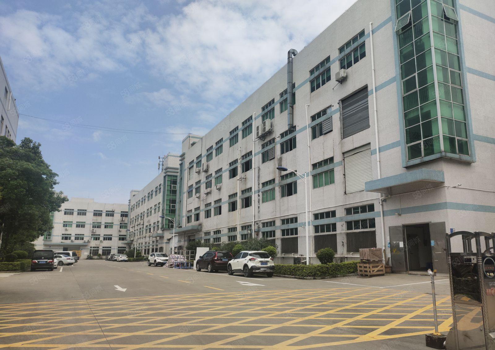 沥林新出楼上2000平方带豪华装修，可拎包入住！交通便利！！