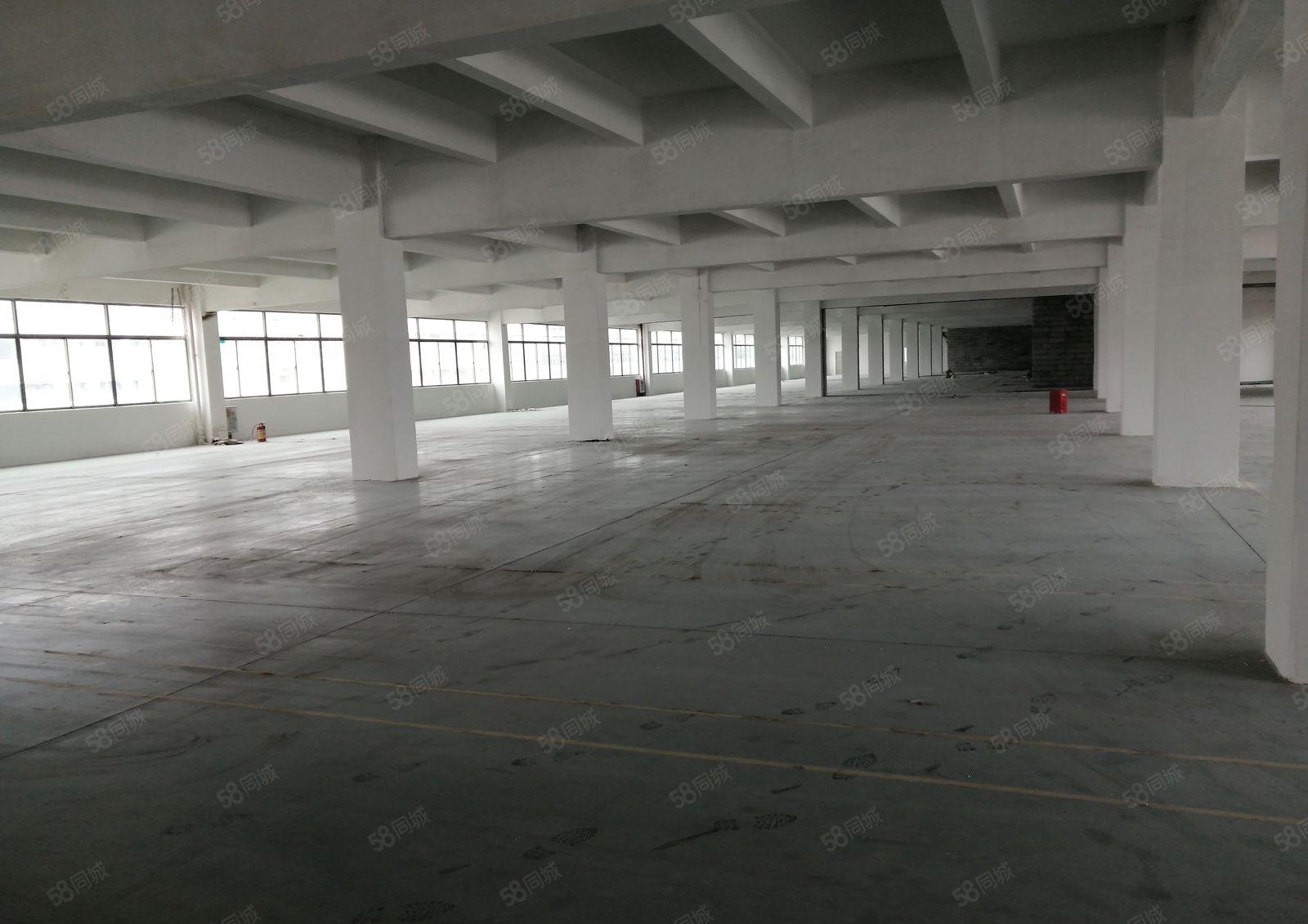 升华工业园一楼3000平带牛角层高7米有环评带装修招租