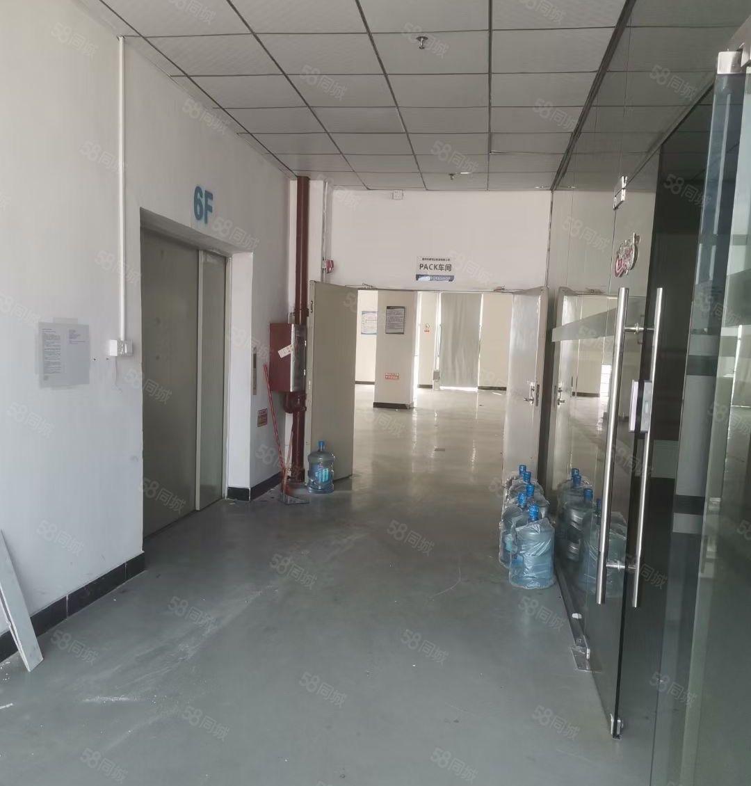 仲恺高新区沥林原房东带装修1050平米出租