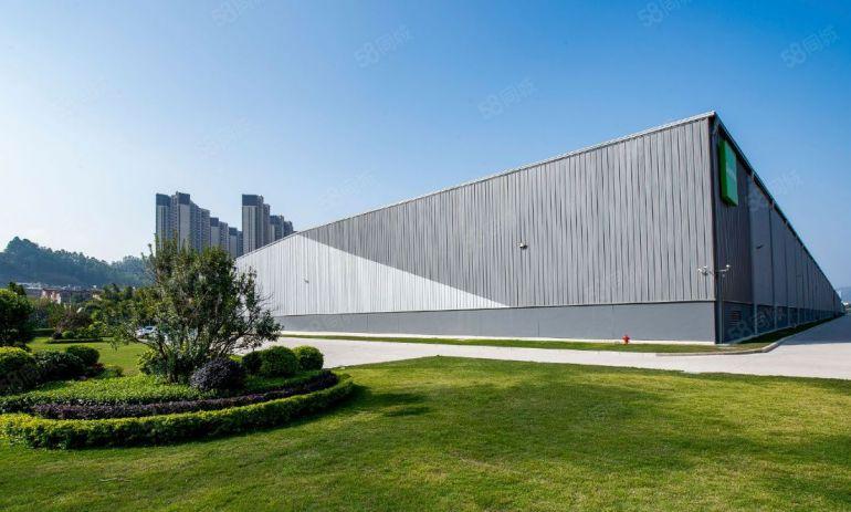 仲恺5000平米10米高钢构厂房出租有地坪漆可分租