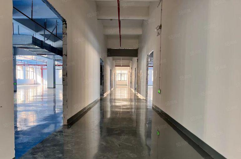 原房东五楼1000平方