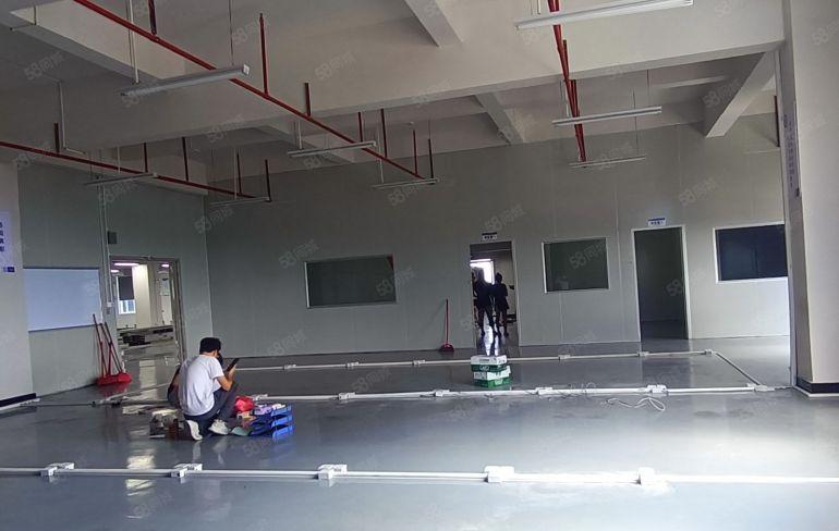 9元现成精装修低价红本厂房出租惠州仲恺高速口旁可办环评与执照