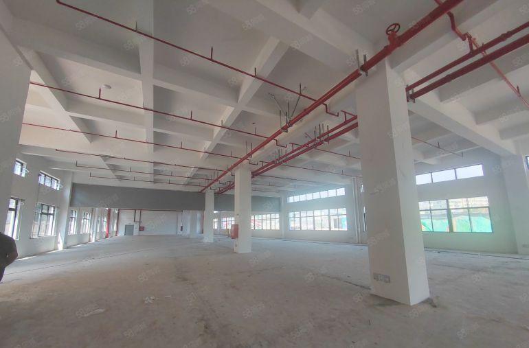 仲恺陈江厂房独院出租齐全原房东仓库整栋可分租