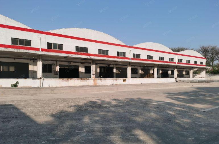 沥林镇带卸货平台厂房出租，滴水12米单一层厂房，可做物流运输