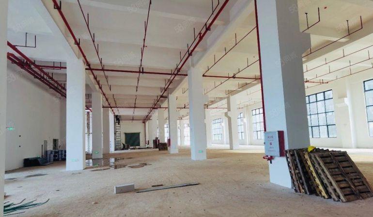 15元一楼，3000平可分，原房东厂房仓库出租，高使用率