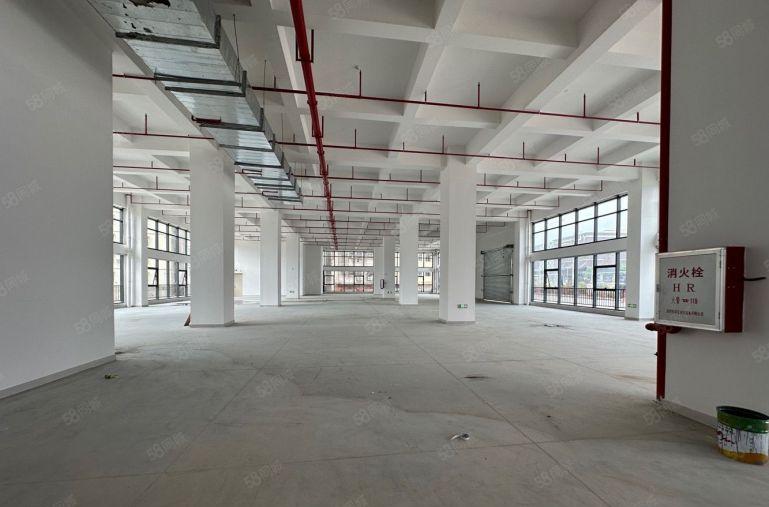 仲恺五一工业区新出楼上厂房四千平原房东低价厂房五百起分十块！