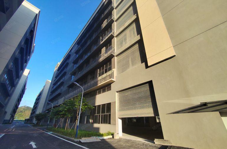 仲恺高新区陈江原房东直租低价可环评红本厂房牛角大小可分无公摊