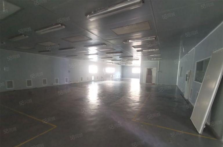 10块！带装修无尘车间1500平可分租水电齐全红本厂房出租