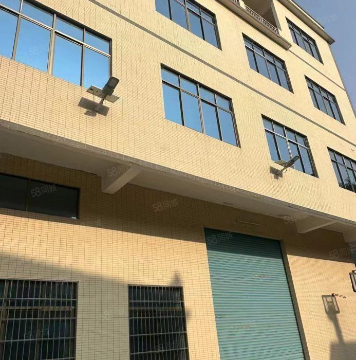仲恺陈江独门独院潼侨标准新厂房1500平方出租