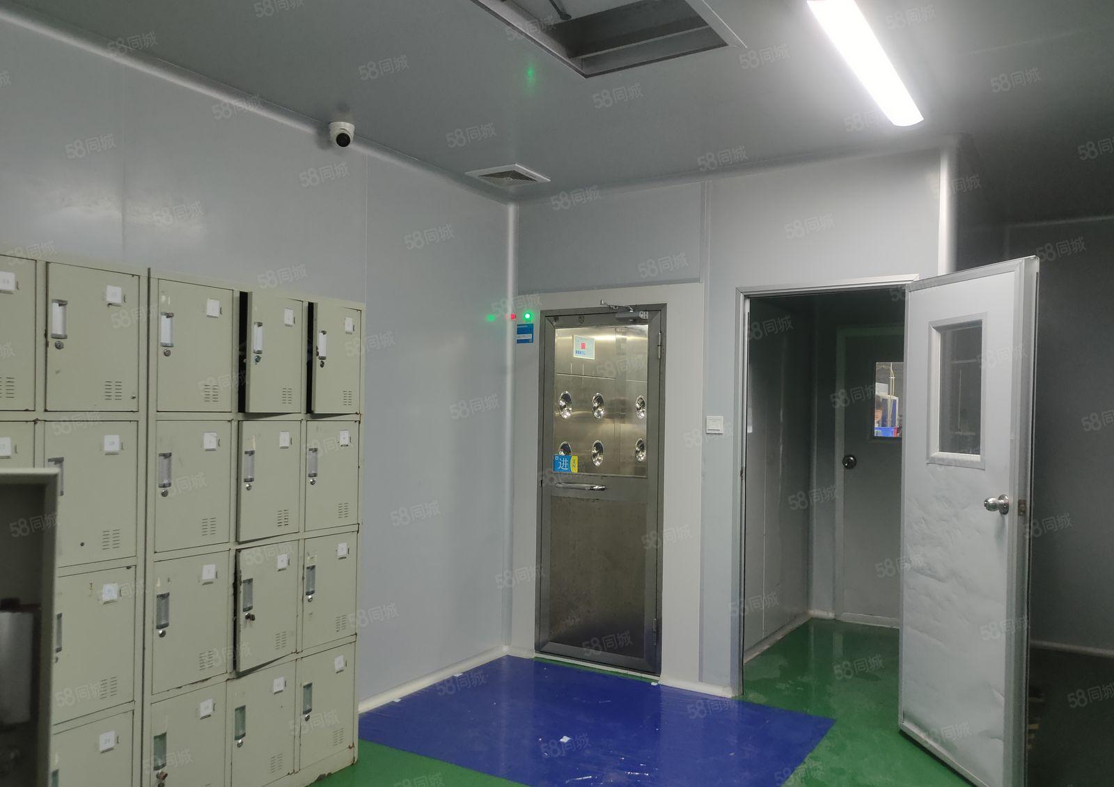 1000平方起分租大亚湾工业区2000平方原房东低价厂房出租