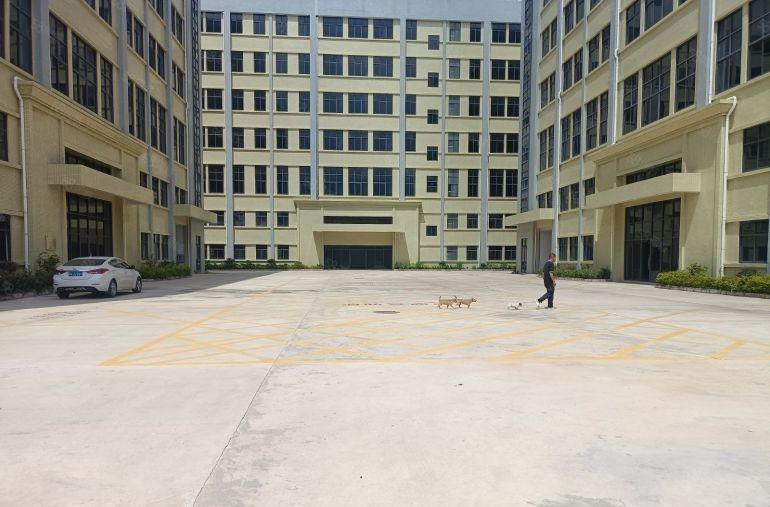 仲恺原房东全新红本独院40000平米厂房出租可分租空地超大