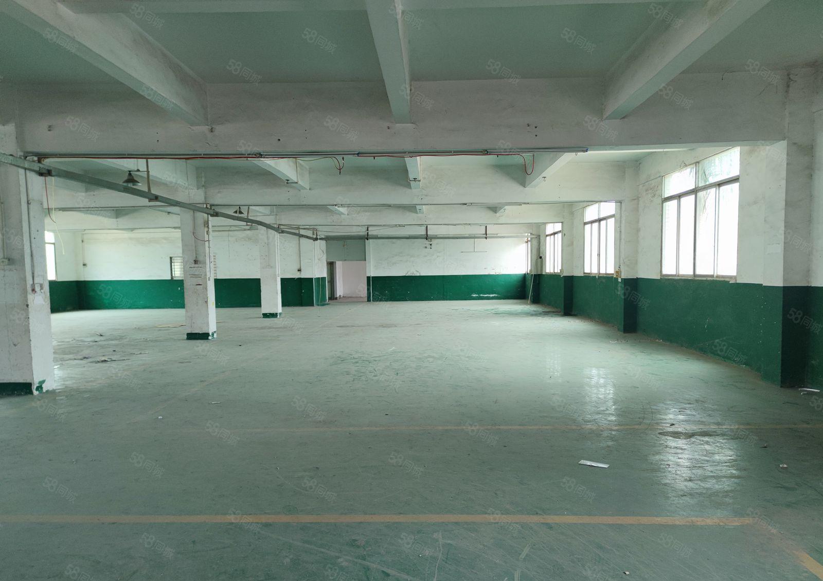 陈江独院厂房招租，证件齐全！可办环评！易招工