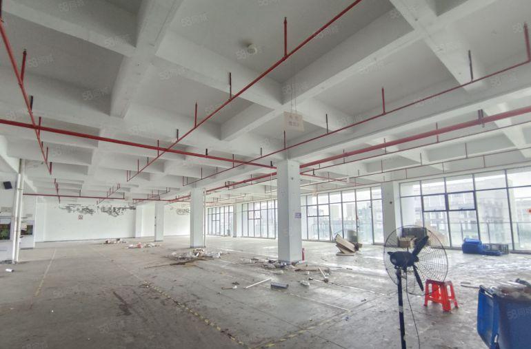 陈江高新园区楼上现成精装办公 厂房1500平 现成洁净车间