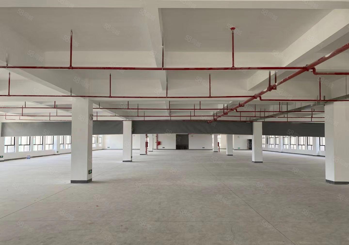 惠州仲深莞惠产业转移园，全新框架厂房，钢结构厂房