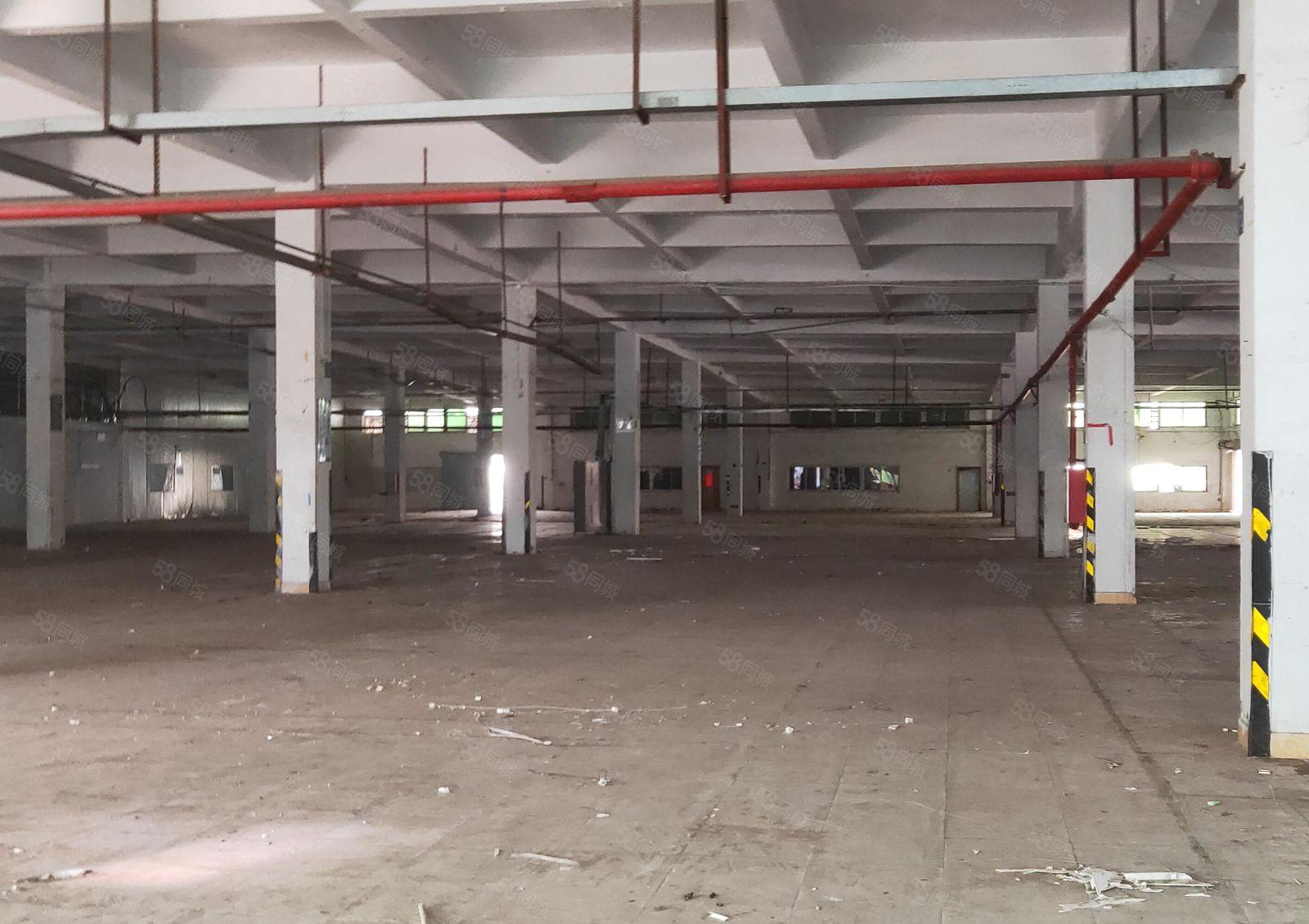 沥林路口原房东花园式厂房 一楼3000平米对外出租