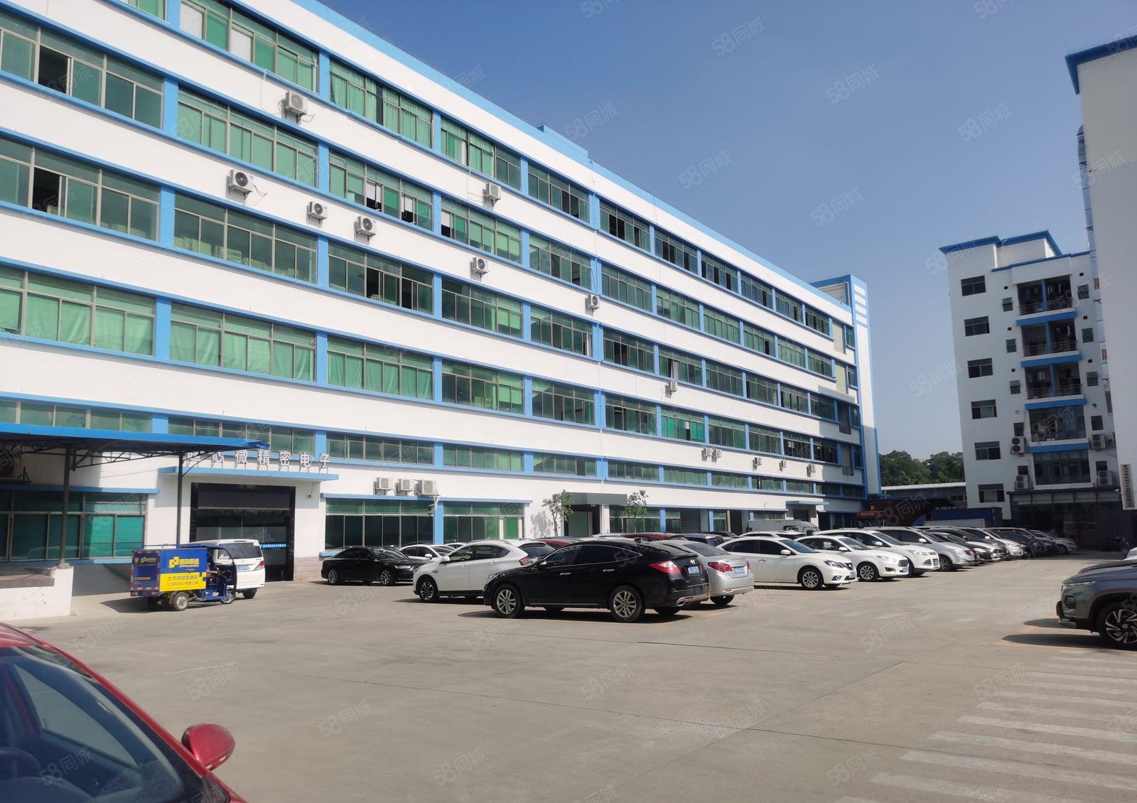 仲恺TCL附近新空出带牛角一楼厂房1600平米！可分租一半