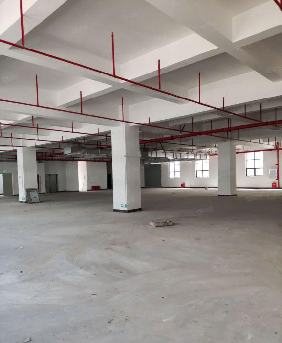 陈江中心工业区整层2300平方已分格好1000平方 带新装修