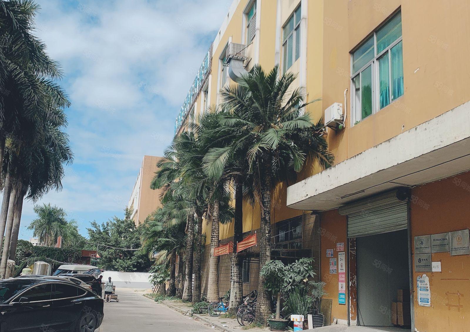 仲恺陈江独门独院一楼1500平高6米原房东仓库厂房出租200