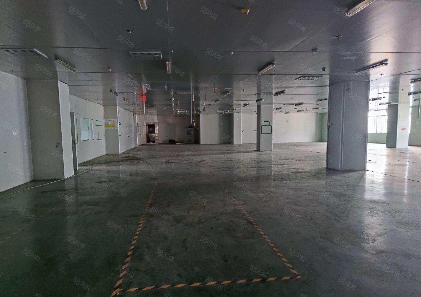 陈江镇，新出独院厂房！证件齐全，交通便利，易招工