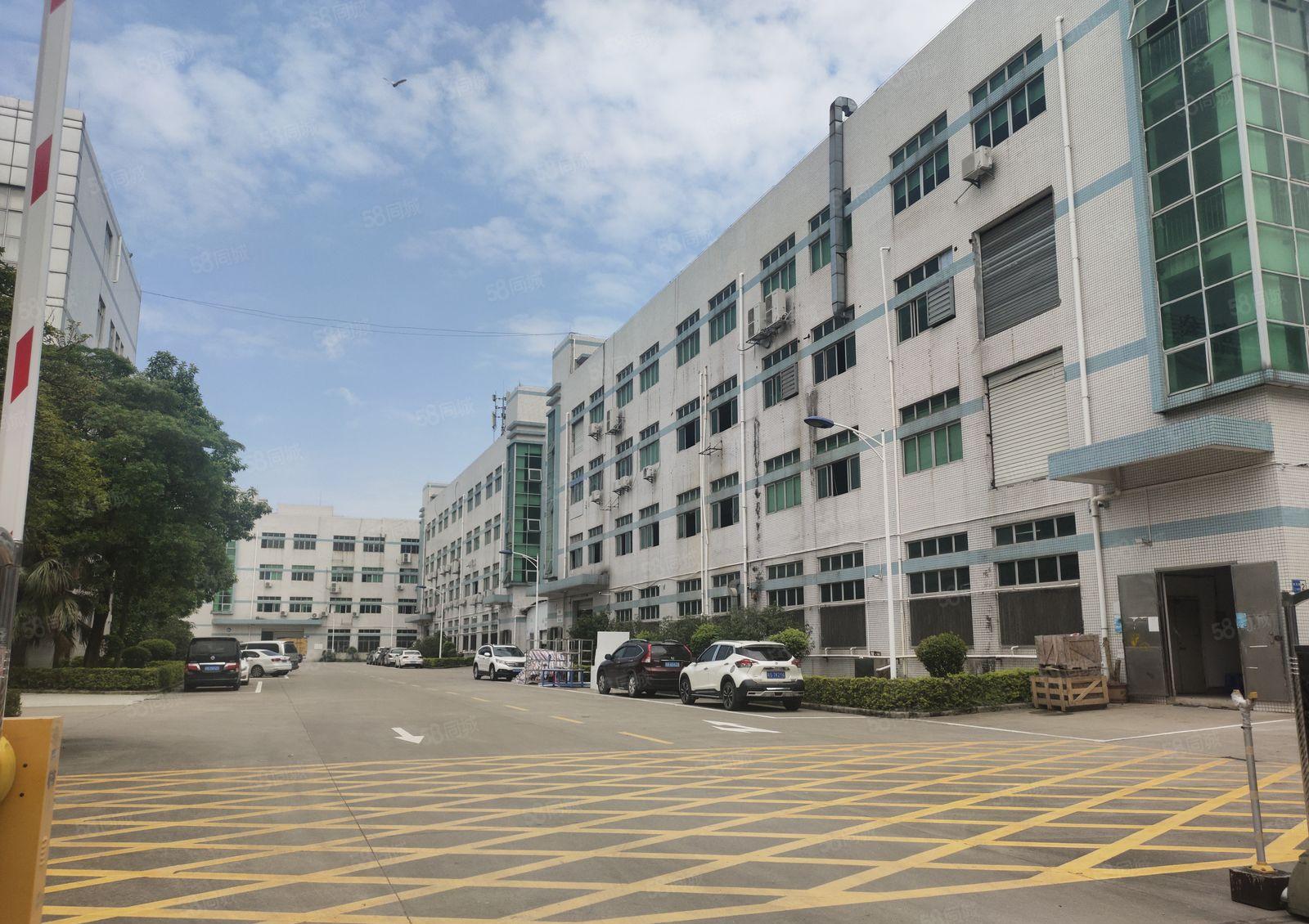 沥林新出楼上2000平方带豪华装修，可拎包入住！交通便利！！