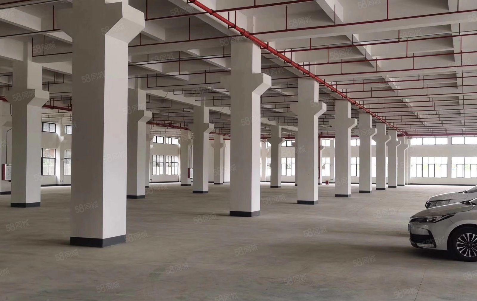 惠州市仲恺高新区TCL全新标准厂房35800平米招租大小可分