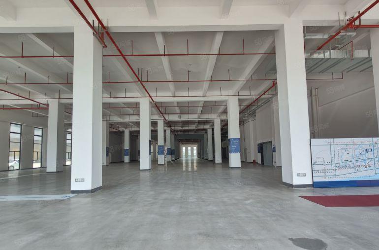 陈江一楼3000平原房东！无公摊！红本厂房出租招工方便空地大