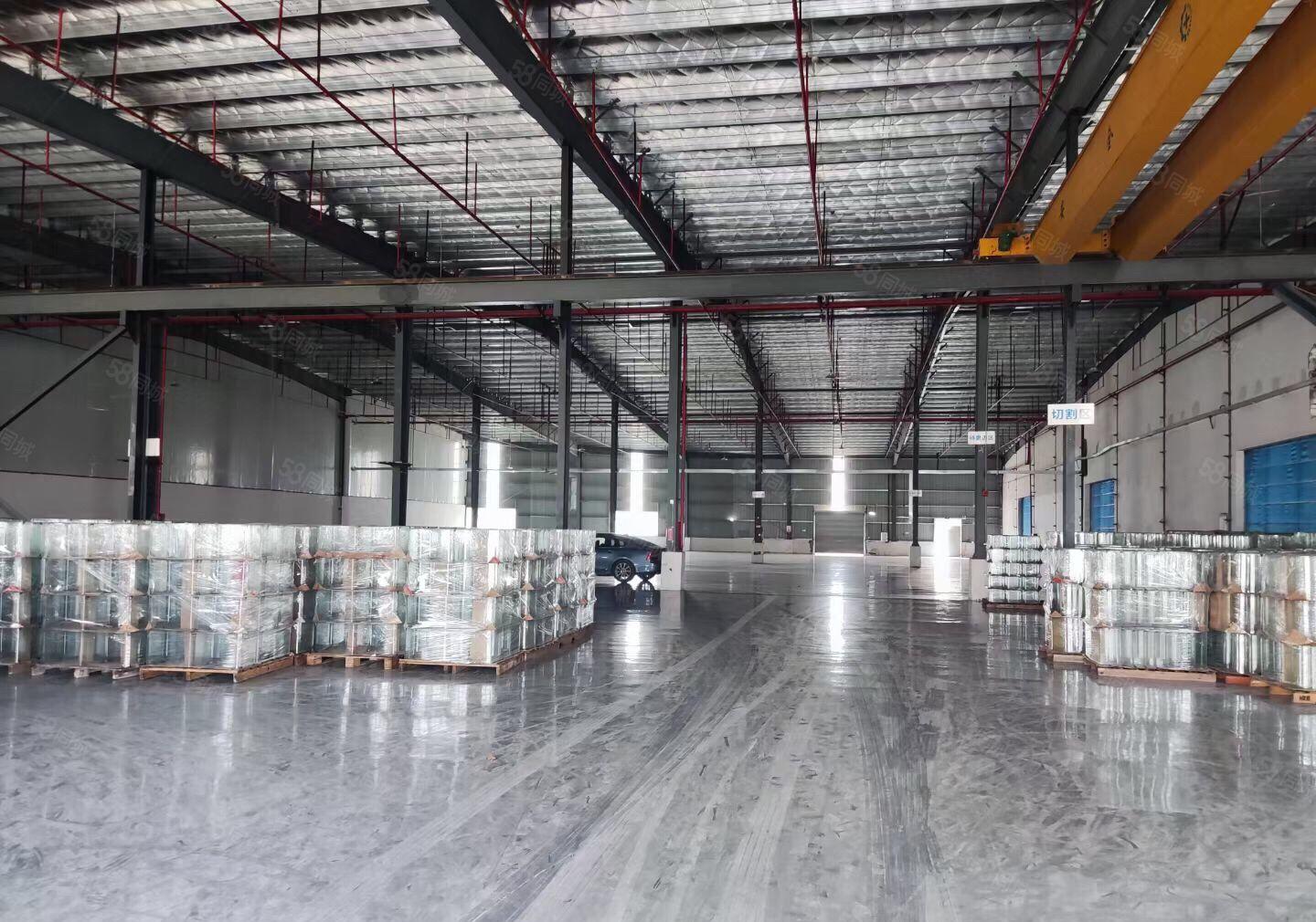 原房东！仲恺陈江镇五一工业区独院钢构厂房3000平方无公摊