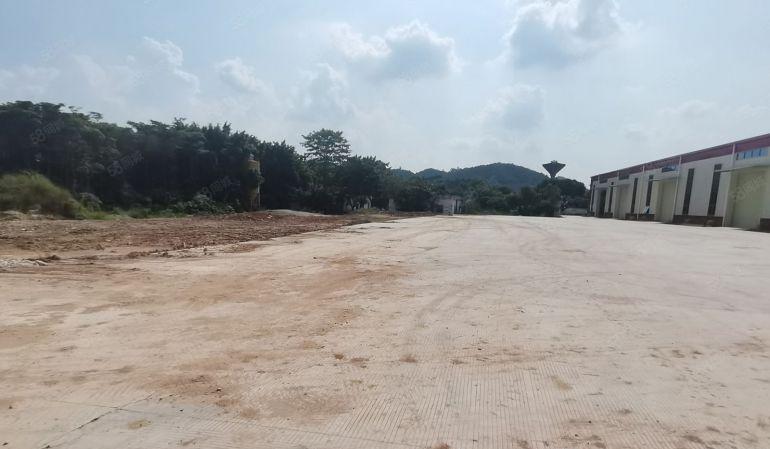 仲恺原房东独院钢构12000平实际出租空地超大免费使用可分租