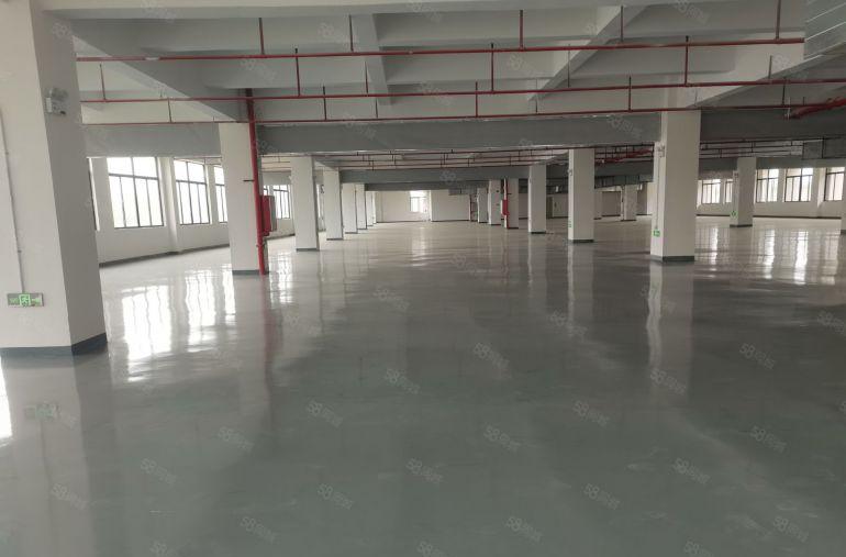 本公司原房东带装修带地坪漆全新厂房出租可分小面积200起出租