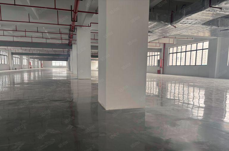 10元！仲恺高新区5000平原房东红本实际面积厂房仓库出租