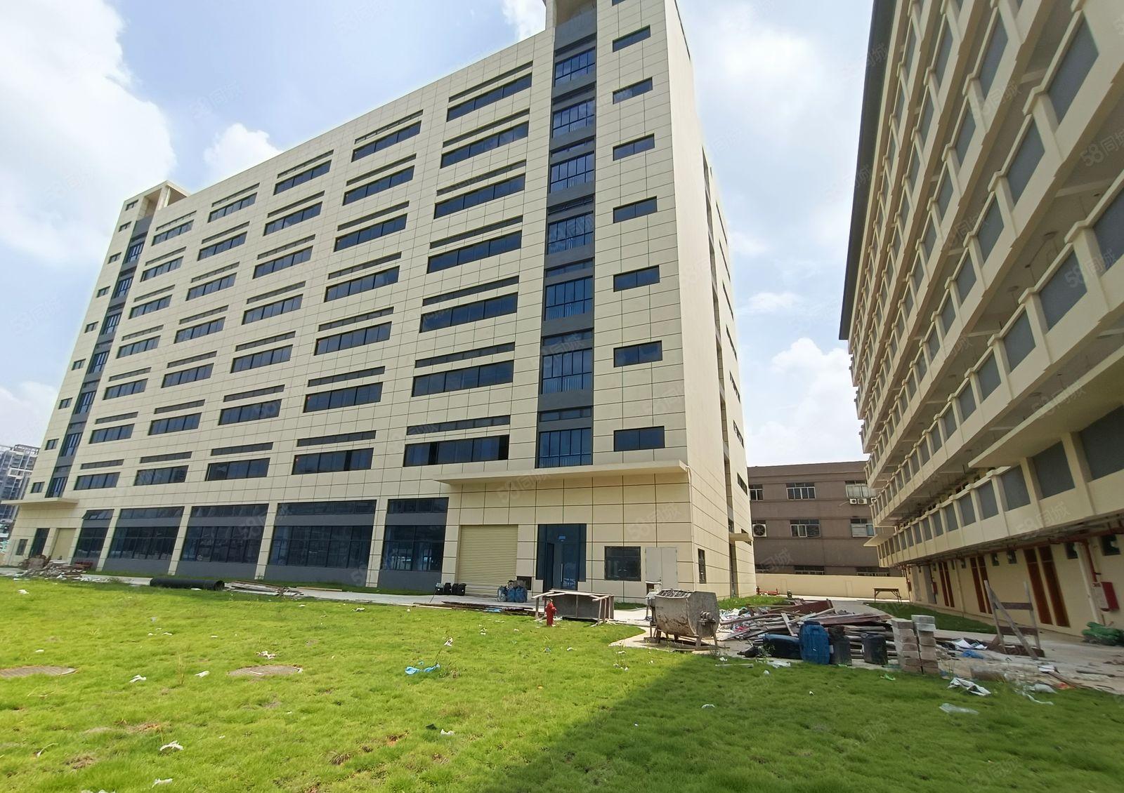 陈江全新红本厂房15000平方招租！带消防喷淋，大小分租！