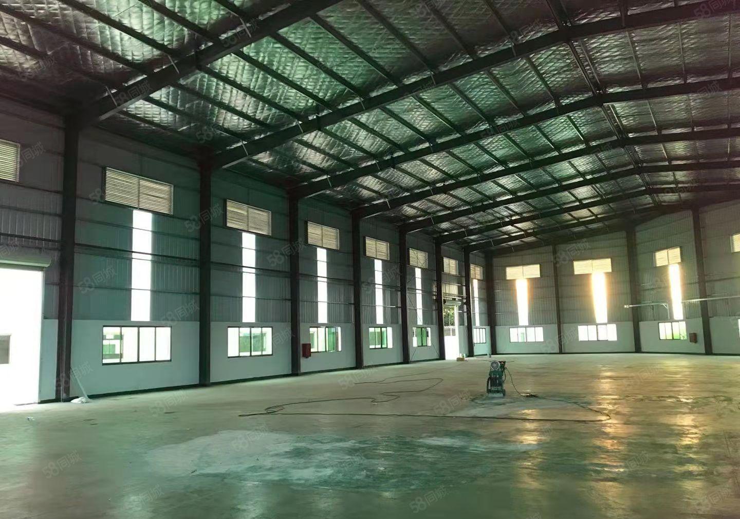 仲恺陈江原房东独门独院单一层厂房出租 可分租