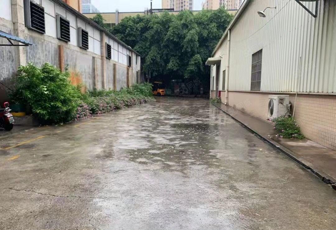 仲恺高新区惠环镇惠台新出原房东独门独院2500平米钢构厂房