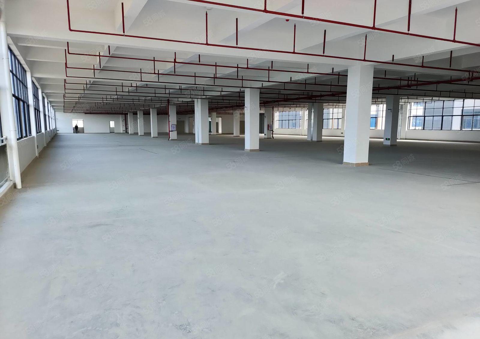 仲恺陈江镇大型工业园13层7500平方带红本标准厂房出租。