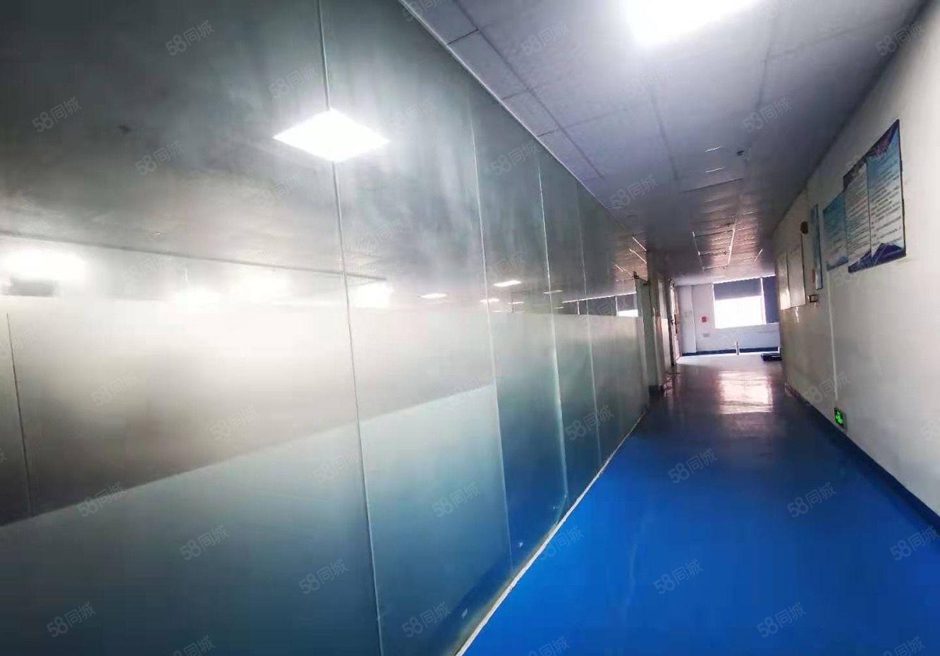 惠环工业园原房东一楼600平带装修厂房出租