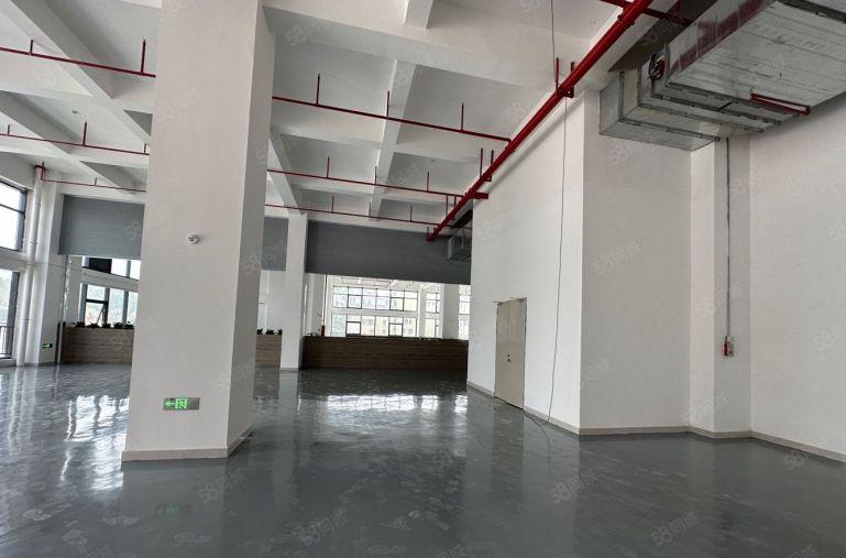 仲恺五一工业区新出单层面积四千平原房东低价厂房五百起分十块