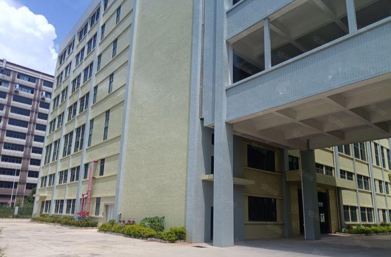 仲恺原房东全新红本独院40000平米厂房出租可分租空地超大