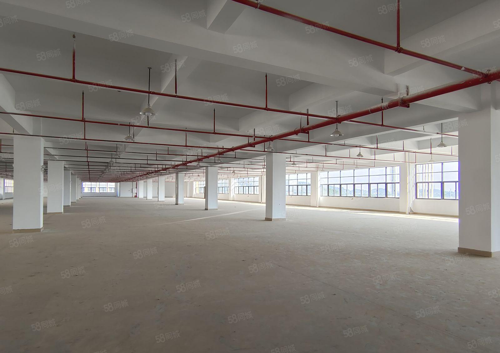 5百8百2千起分租仲恺陈江原房东独院6万平厂房仓库出租带红本