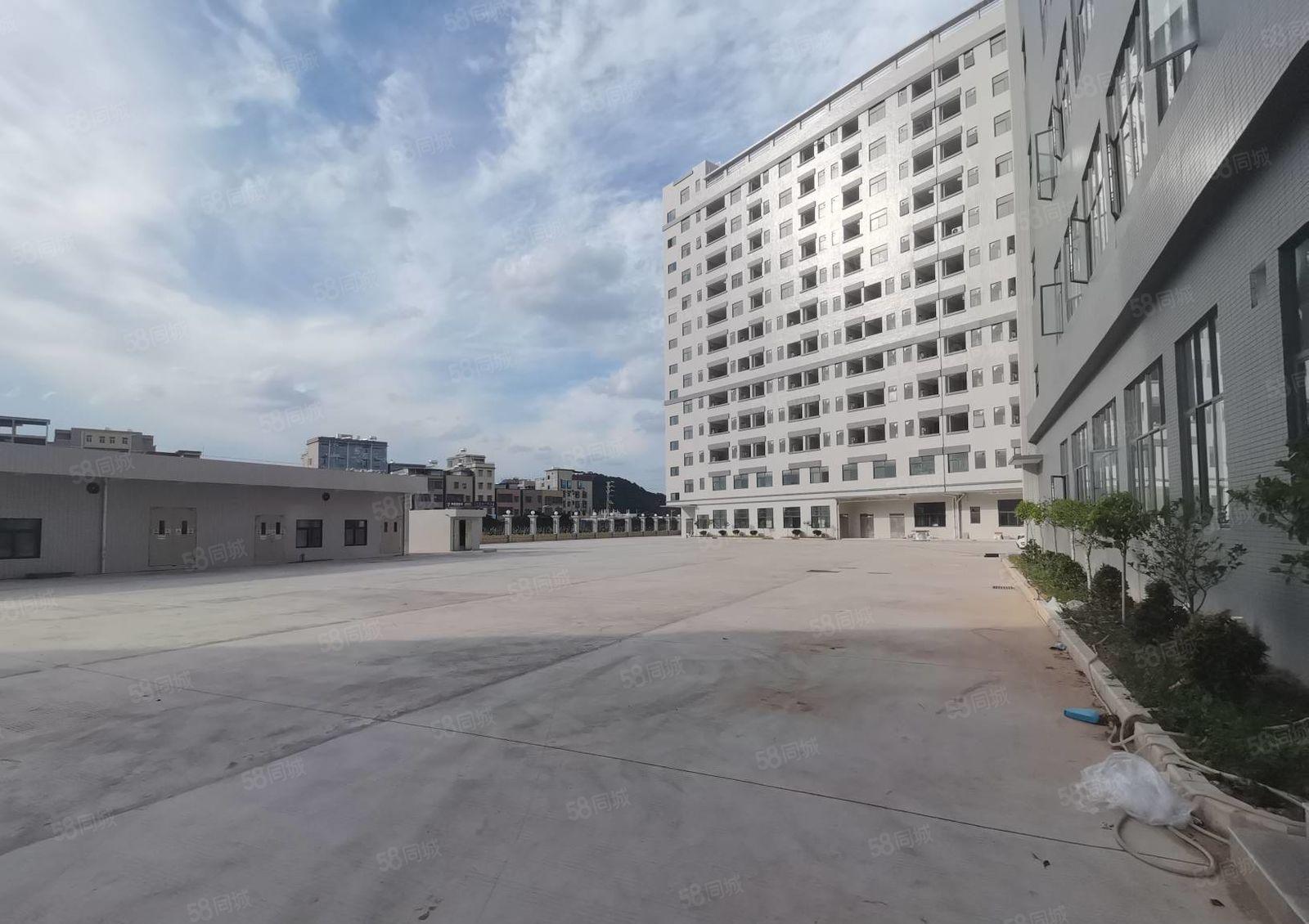 陈江惠环原房东工业园5万平红本厂房出租500平起分租一楼7米