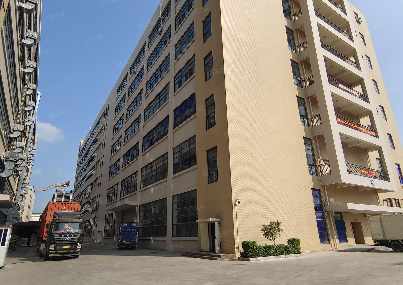 5百8百2千起分租仲恺陈江原房东独院6万平厂房仓库出租带红本