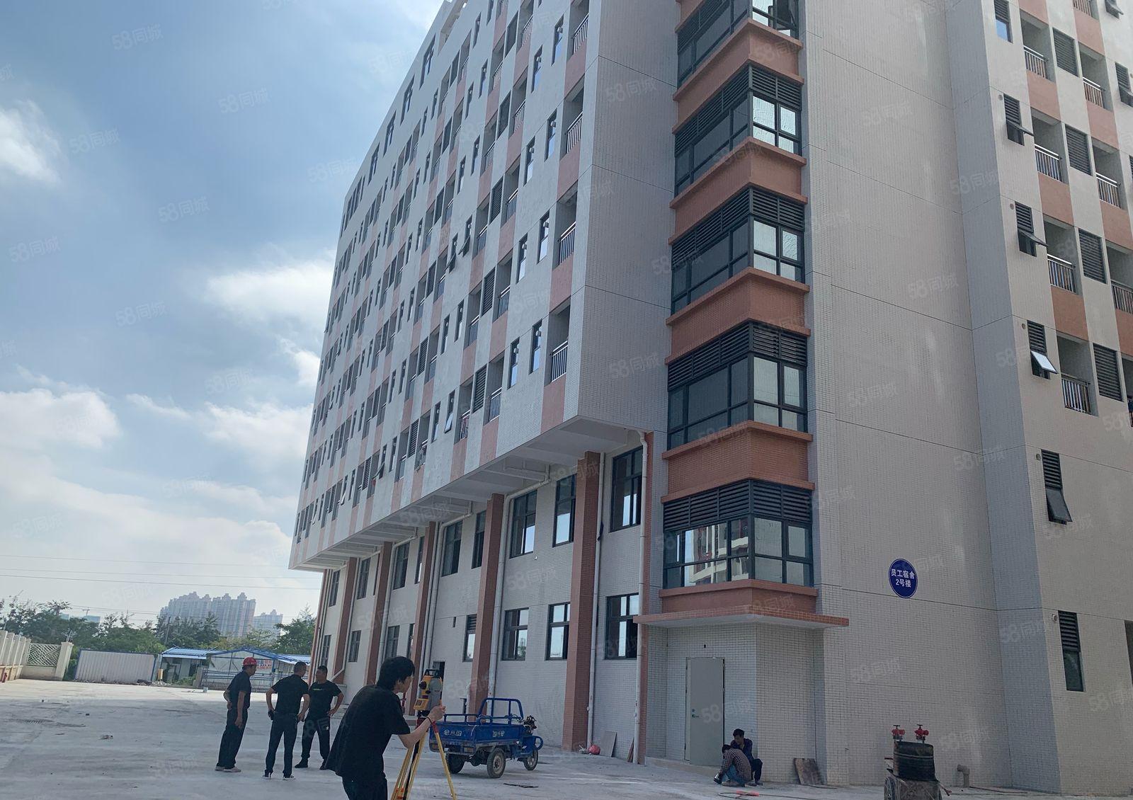 陈江原房东直租20502平工业园全新厂房招租