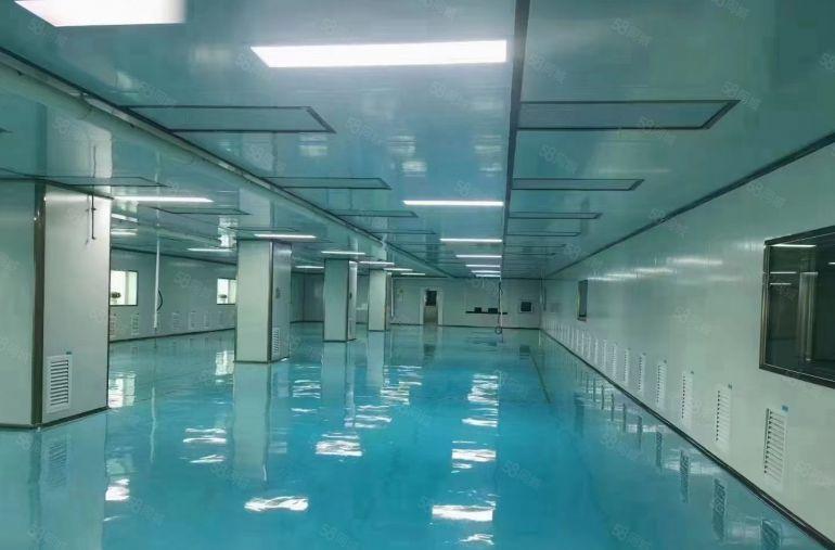 仲恺陈江3楼5楼1500平3000平方带装修红本厂房仓库出租